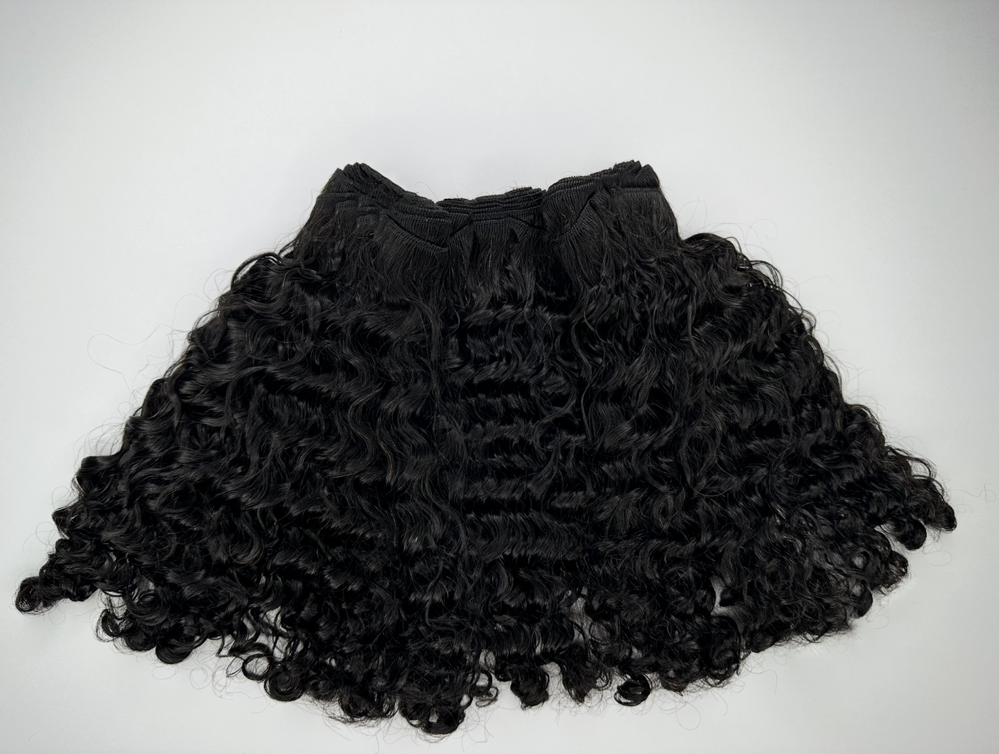 Burmese Curly
